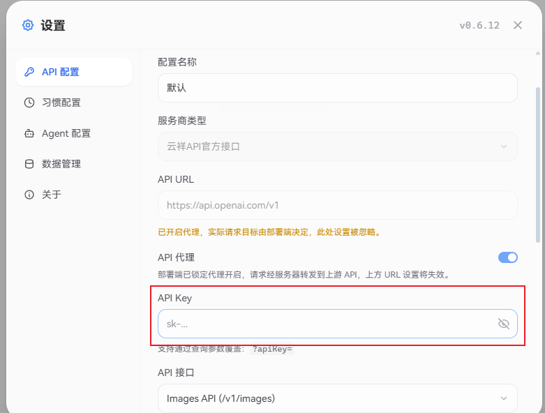 粘贴 API Key